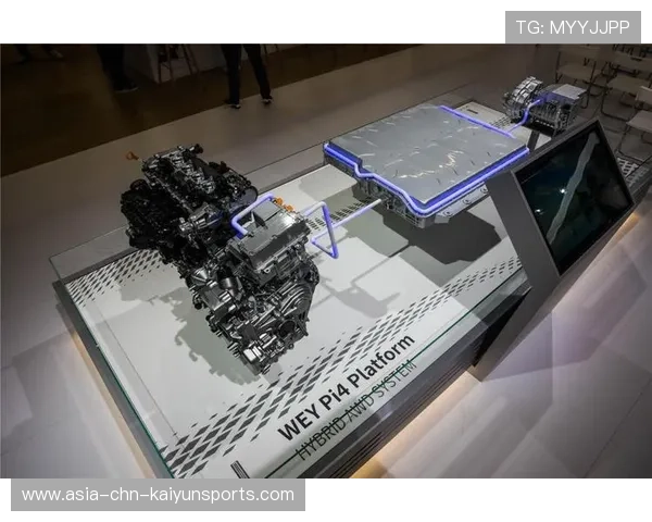 电竞俱乐部全球化战略与赛季表现研究