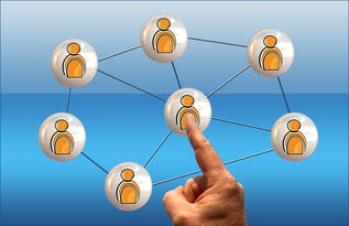 开云竞猜官网-冠军球队社会责任项目获社区高度评价与广泛参与，冠军组织的定义